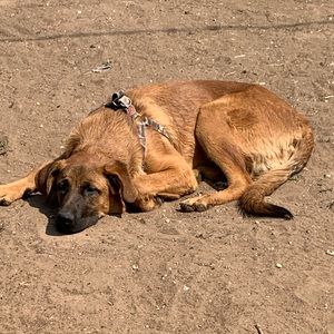 Meet your Posher, Aubrey